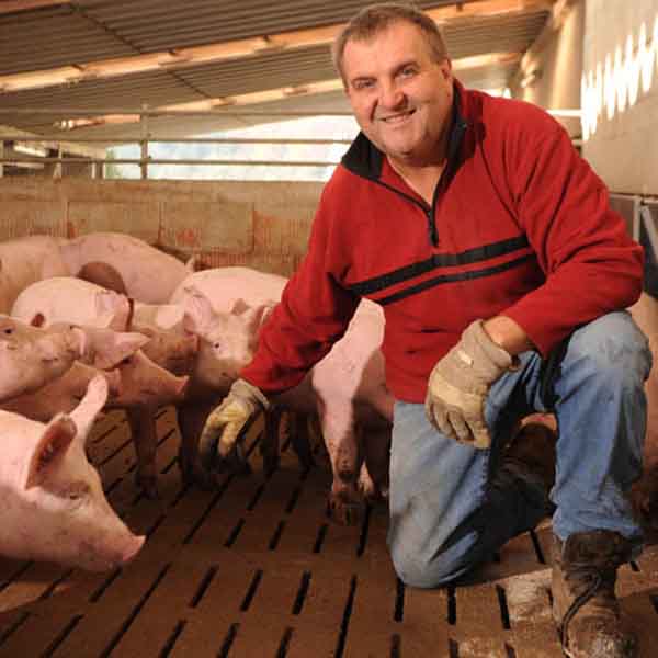 Schweinefleisch - Bauernfamilie Müller