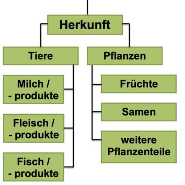 Was versteht man unter biologischer Wertigkeit von Protein?