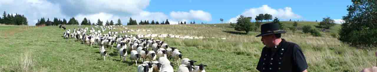 Flora und Fauna der Rhön beeinflussen den Geschmack des Rhönlammfleisches