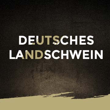 Deutsches Landschwein