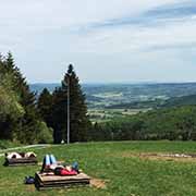 Flora und Fauna der Rhön beeinflussen den Geschmack des Rhönlammfleisches