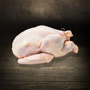 Weihnachtsgans, Martinsgans, Nordhessische Freilandgans zubereit mit Äpfeln auf einem Teller