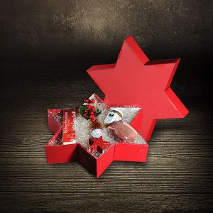 Der Ludwig Weihnachtsstern Weihnachtsgeschenk gefüllt mit feinem aus der Metzgerei Ludwig Weihnachtssalami Schinkenspeck Ludwigs Lieblingssenf und feiner Apfellikör von Krenzers Geschenk Weihnachtsstern bei Der Ludwig kaufen