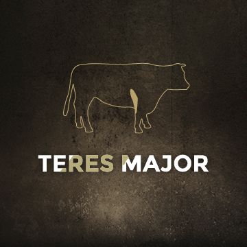 Teres Major